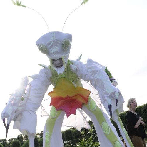 Sie k&ouml;nnen was erleben beim Tag des Gartens 2025 &nbsp; &nbsp;&nbsp;