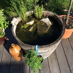 Wasser &ndash; ein Grundelement des Lebens auf unserem Planeten &nbsp; &nbsp;