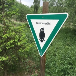 Naturschutz &ndash; Insekten f&ouml;rdern