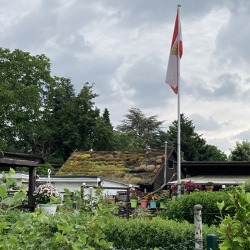 Platz f&uuml;r mehr Gr&uuml;n &ndash; so begr&uuml;nen Sie das Dach Ihrer Laube