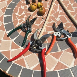 Hacke, Schere und Co. &ndash; Ger&auml;te, die in keinem Garten fehlen sollten &nbsp;