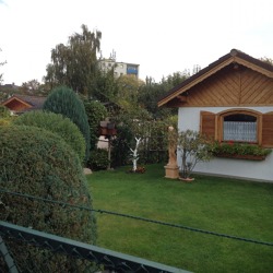 Bewirtschaftungsm&auml;ngel in Kleing&auml;rten aus gartenfachlicher Sicht - Probleme im Kleingarten