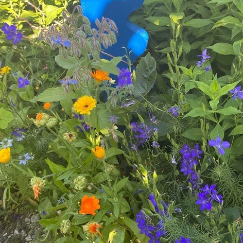 N&uuml;tzlingsf&ouml;rderung im Garten &ndash; ein Muss f&uuml;r unsere G&auml;rten &nbsp; &nbsp;