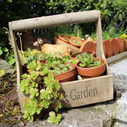 Einstiegswissen f&uuml;r Gartenneulinge