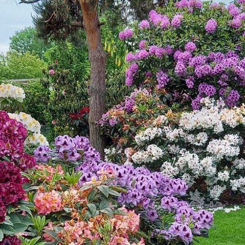 Unser neuer Internetauftritt!